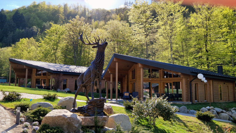 log cabin bulgaria 7
